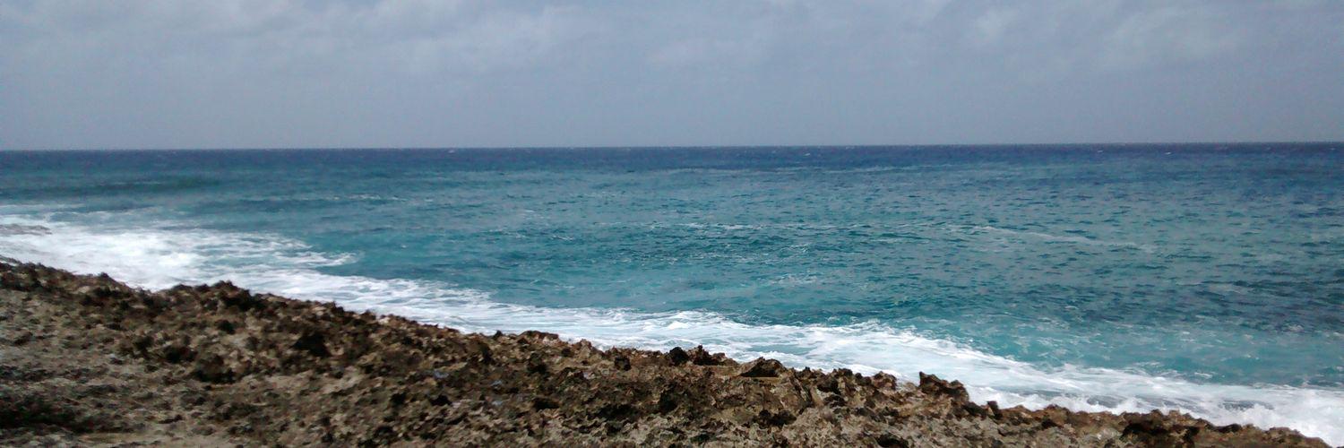 mpattypa's profile banner image
