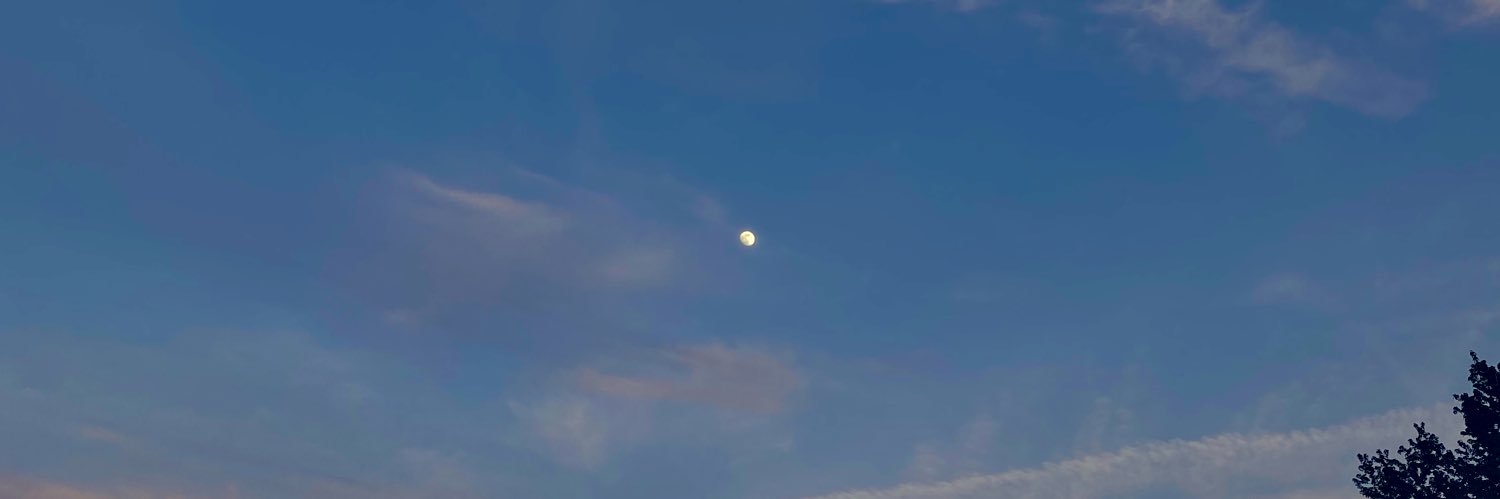 alihale's profile banner image