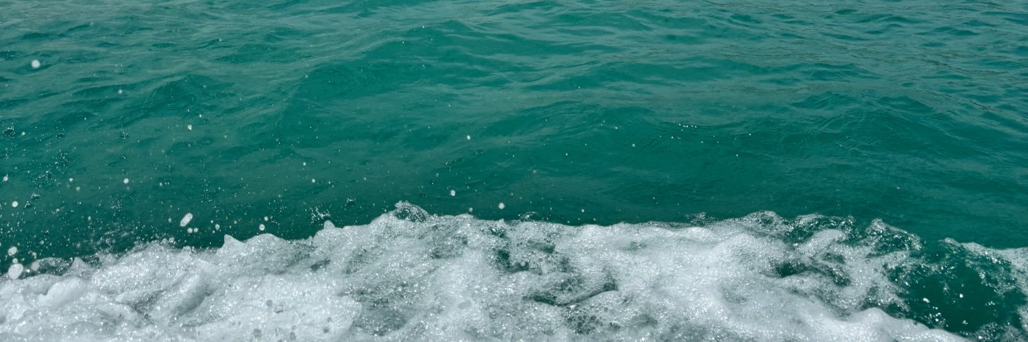 soyvalemont's profile banner image