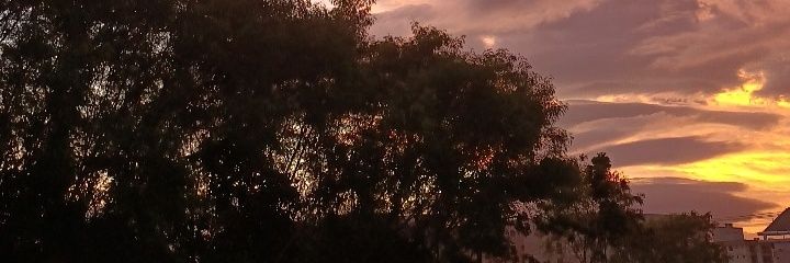 K_Fernandes01's profile banner image