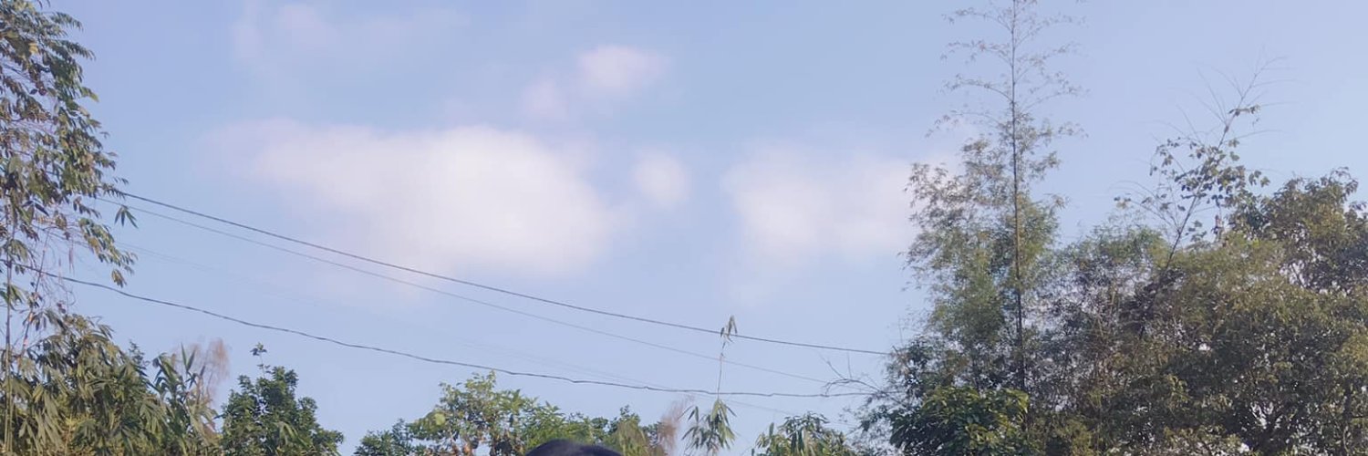 shavashia's profile banner image
