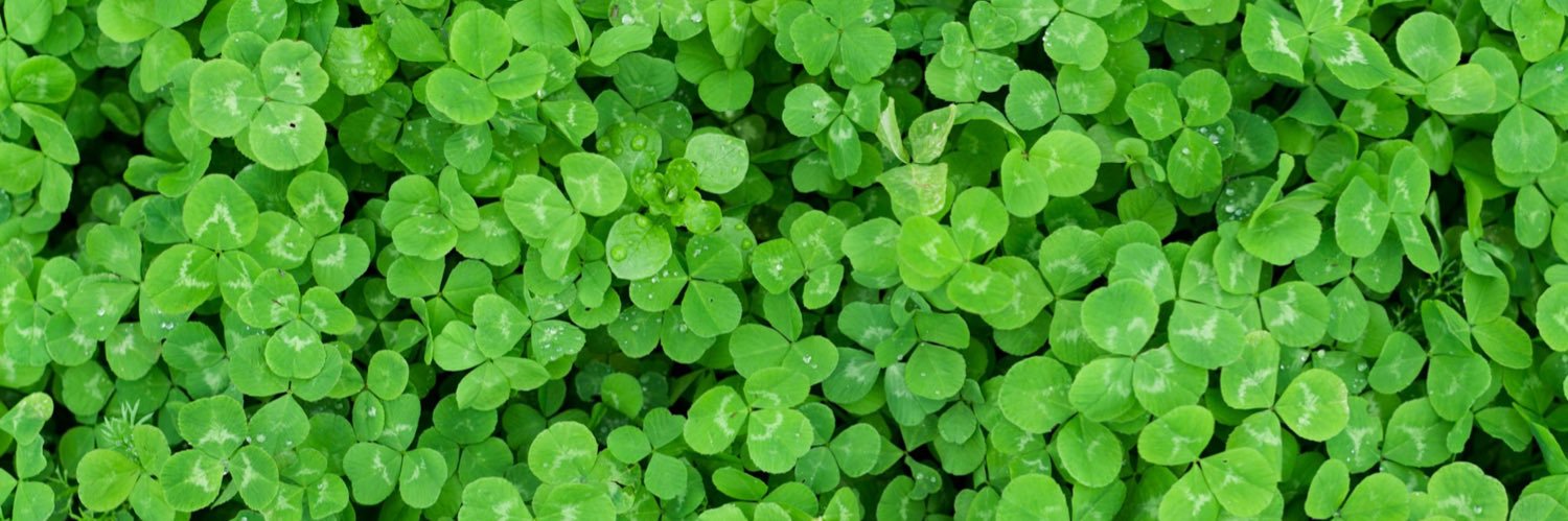 ArtBark🍀 banner