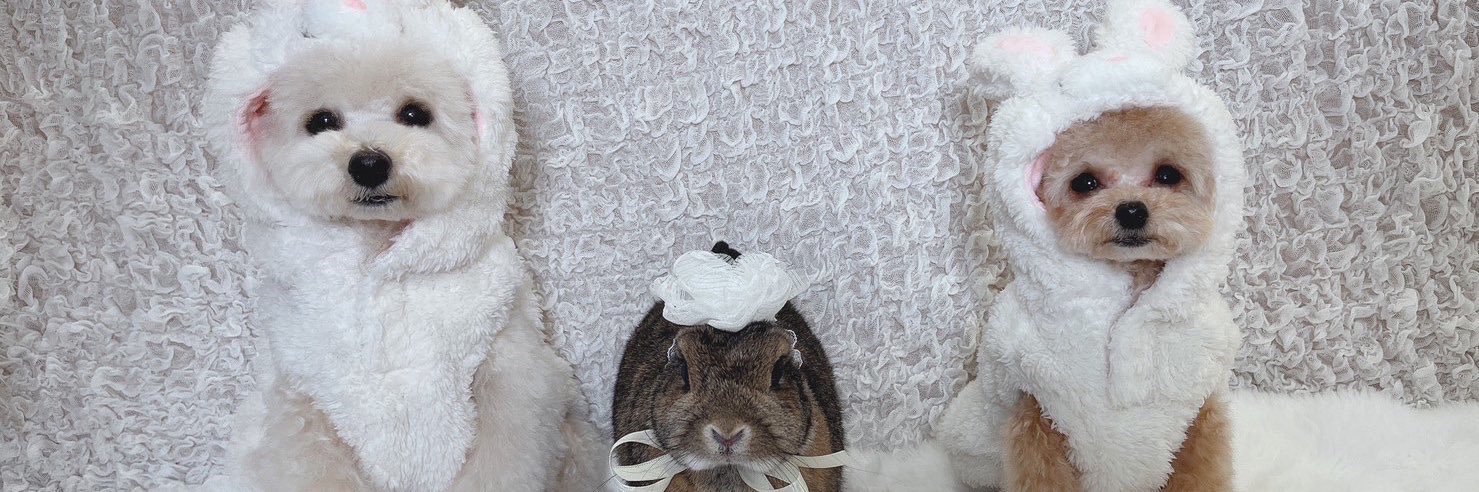 なるえꪔ̤̮WORLD WAND WOOD banner