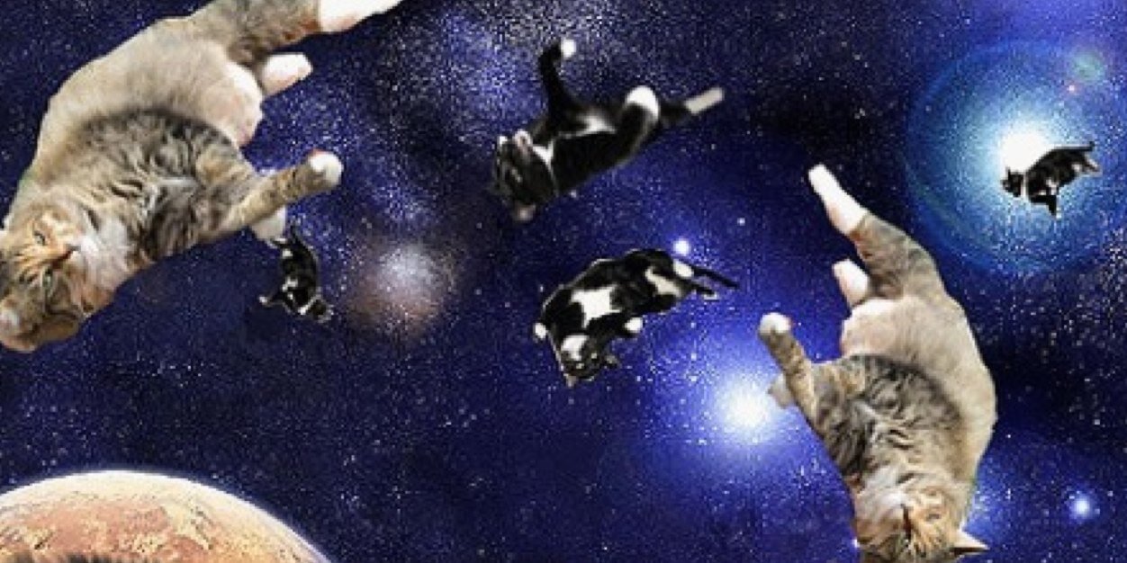 katiewasho's profile banner image