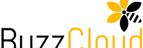 BuzzCloudGlobal's profile banner image