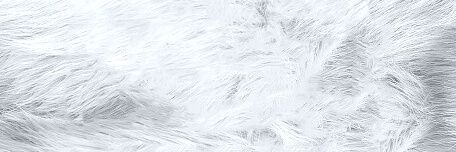 darleneprl's profile banner image