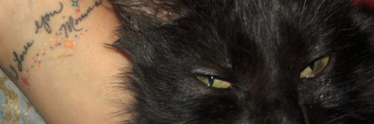 Annnaaaa614's profile banner image