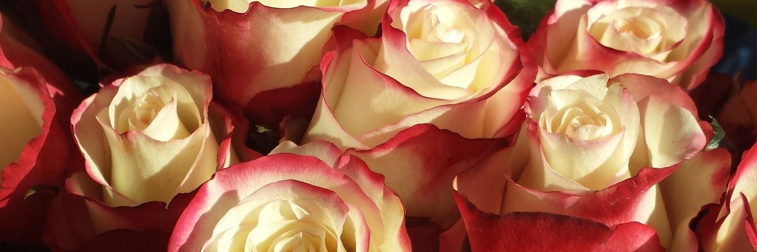 Desiree MarshallPeer banner