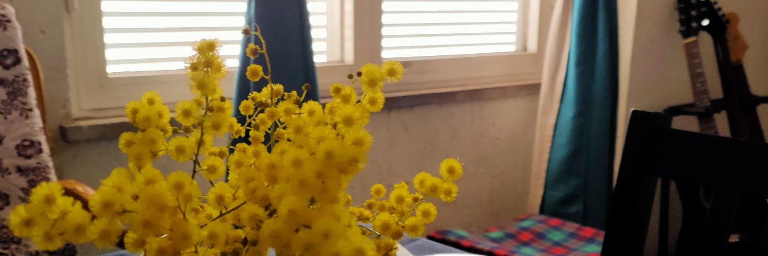 IlTonus's profile banner image