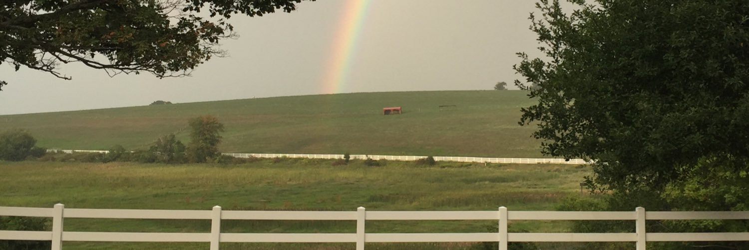 Tyler_995's profile banner image