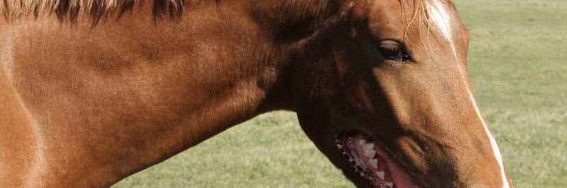 heathuhhpowell's profile banner image