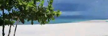 Cryptospot27's profile banner image
