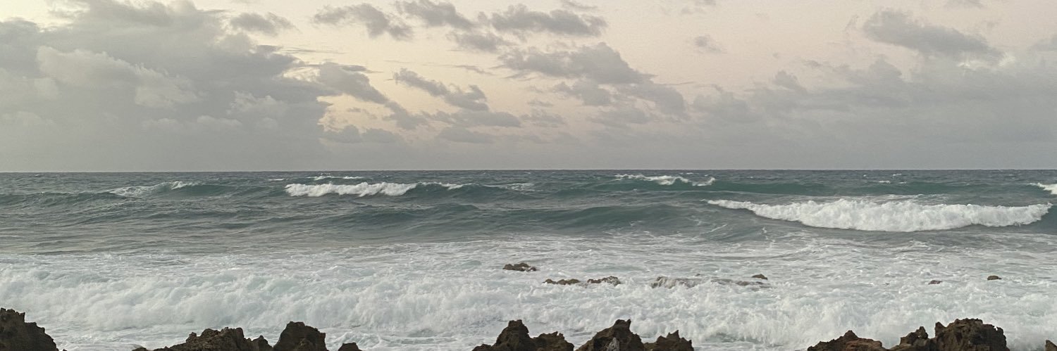 dyanamarquez_'s profile banner image
