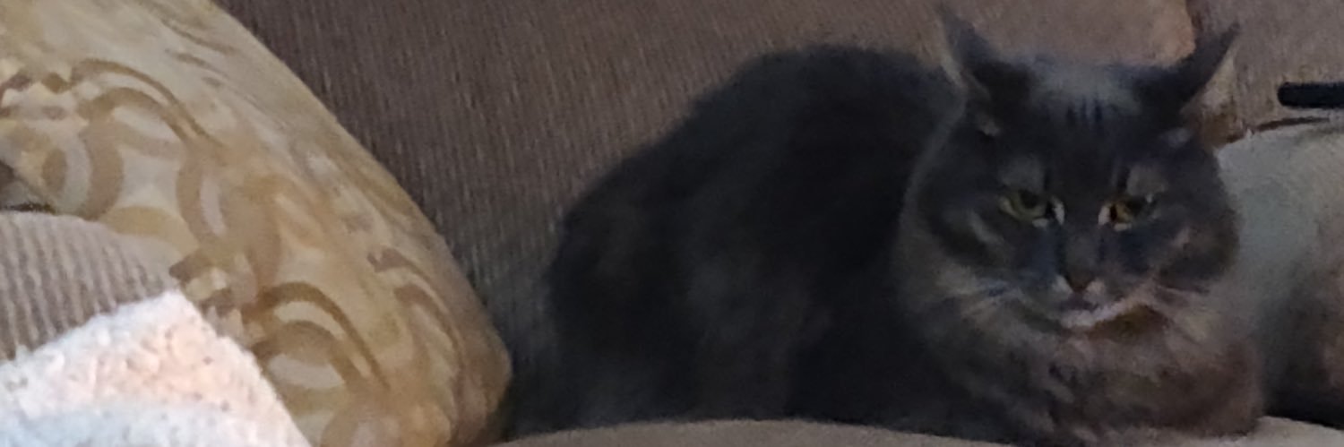 A Menace to Society banner