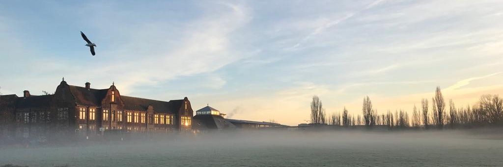 WalCynRod 🇬🇹 banner