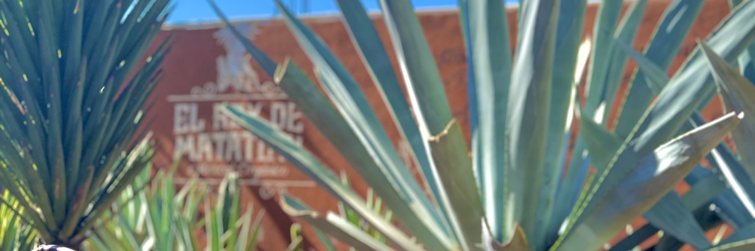 djralph_b's profile banner image