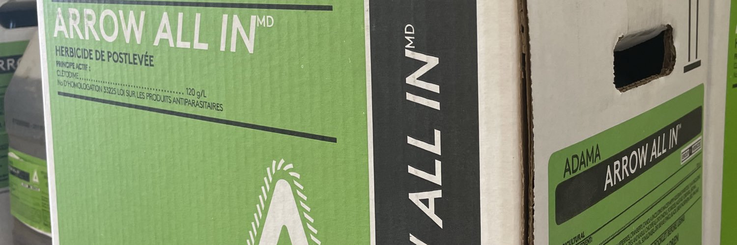 Corey Thorsteinson banner