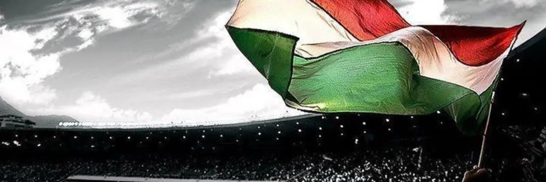 falgouvea's profile banner image