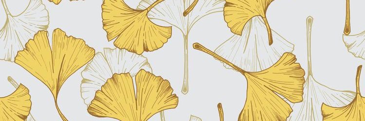 bontenmicchi's profile banner image