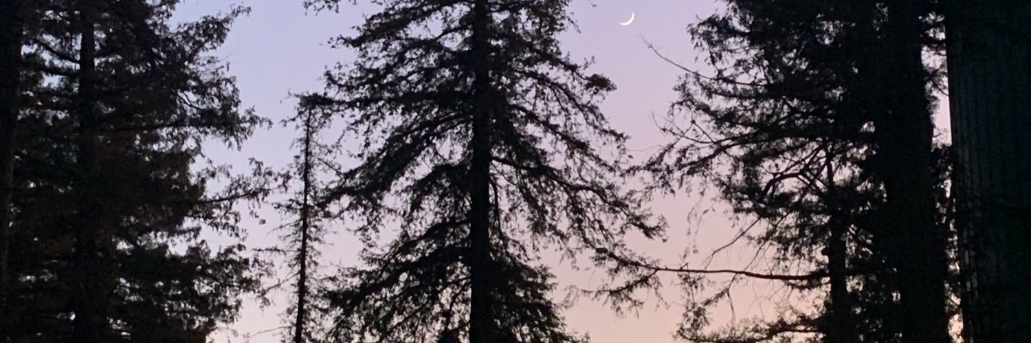 JamesjVeit's profile banner image