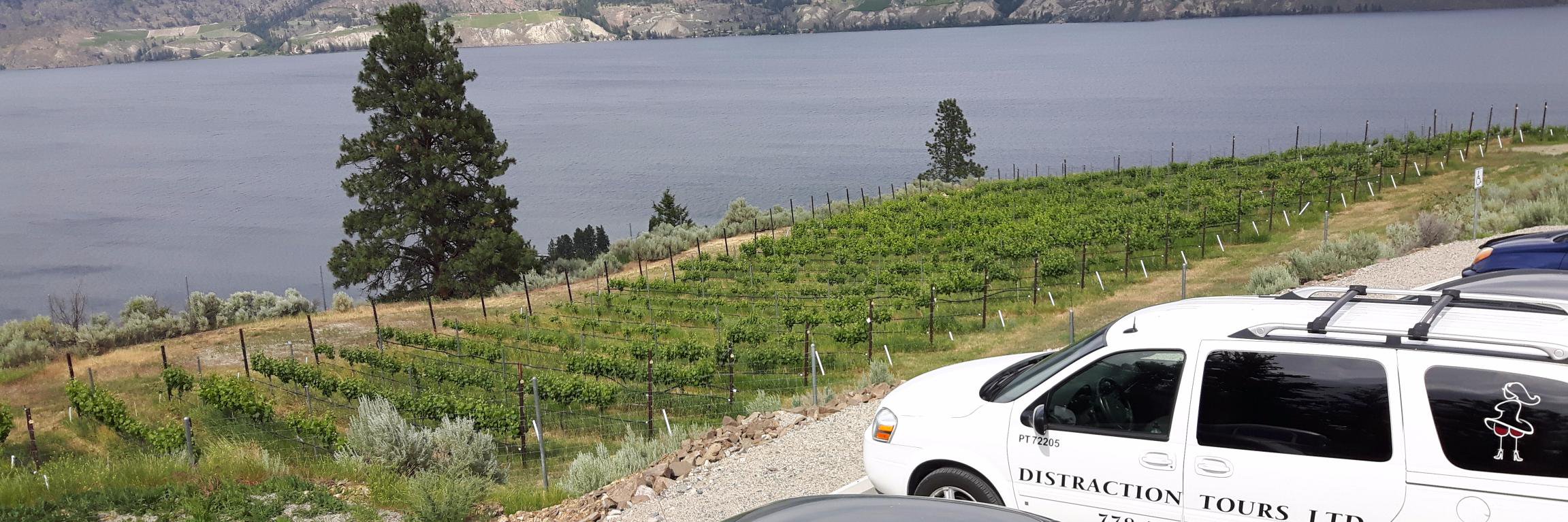 DriveToWine's profile banner image