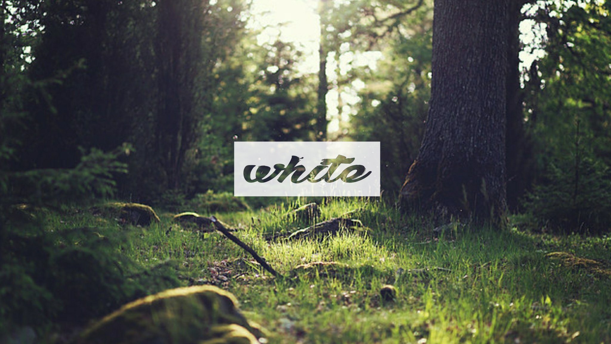 AffzWhite's profile banner image