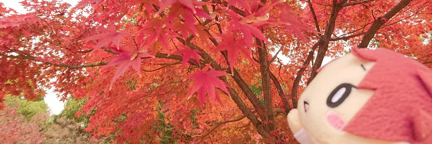 もみじいろは banner