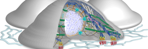 mofradlab Profile Banner