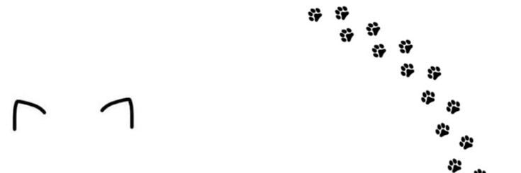 hawool_ryun's profile banner image