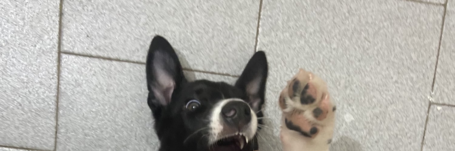 nat_liendo's profile banner image
