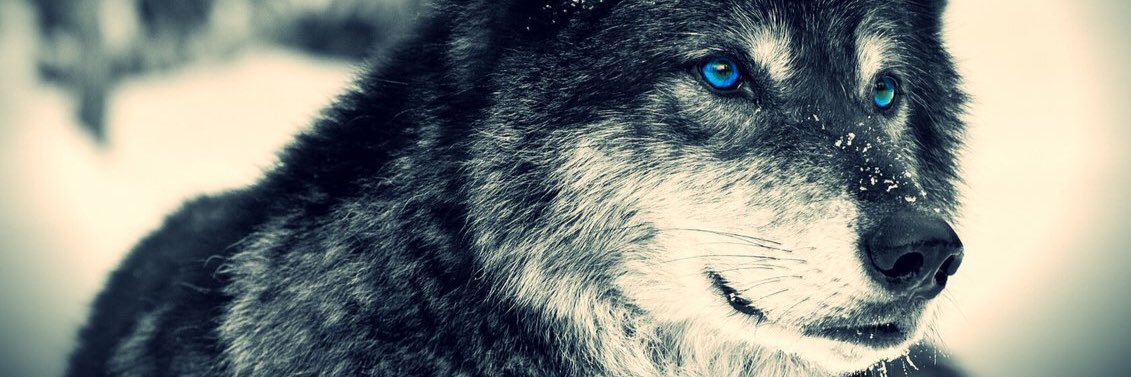 JustJHD's profile banner image