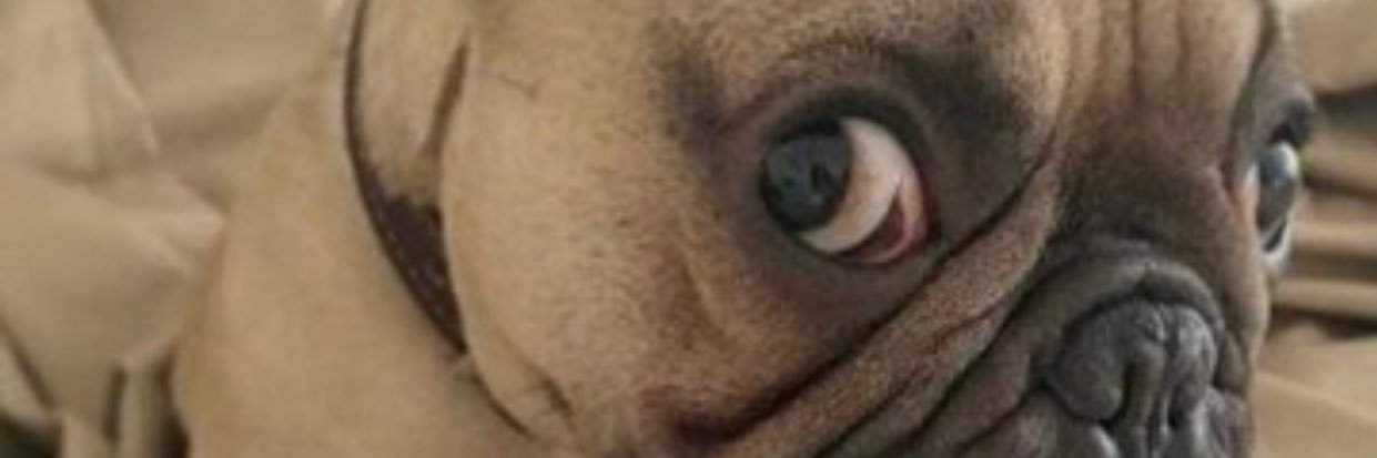 Soloblaze360's profile banner image