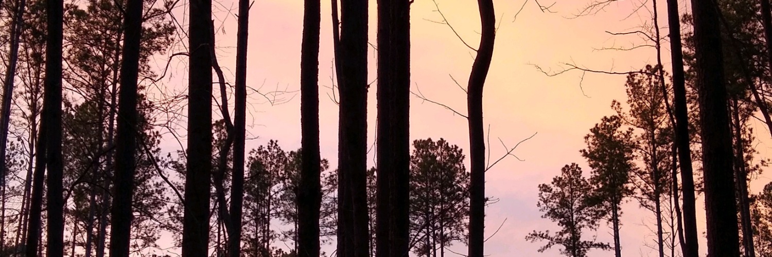 KathryndHuff's profile banner image
