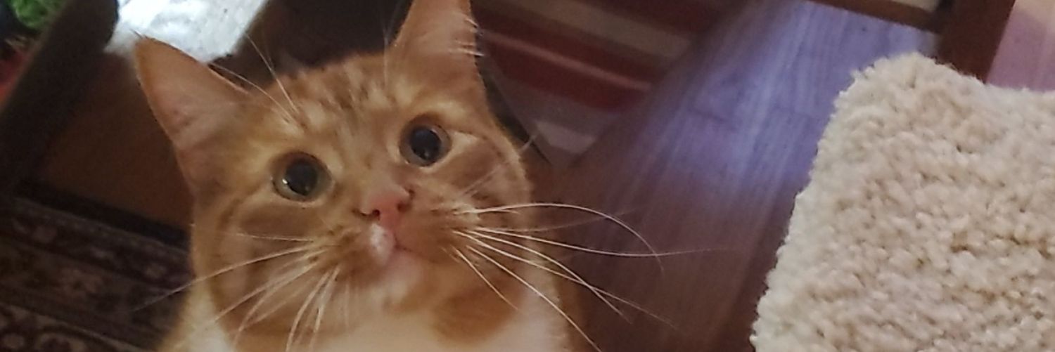 comradekirbs's profile banner image