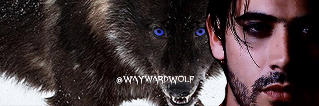 WaywardWolf_'s profile banner image