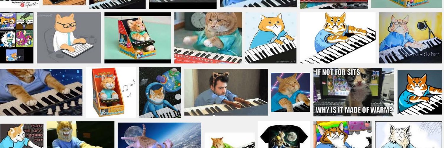 Keyboard Cat banner