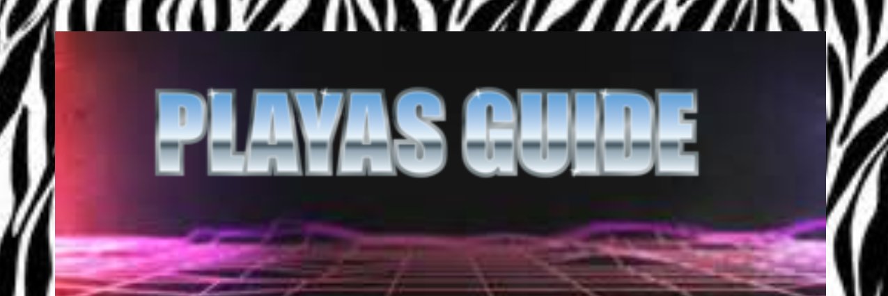 playasguide1's profile banner image
