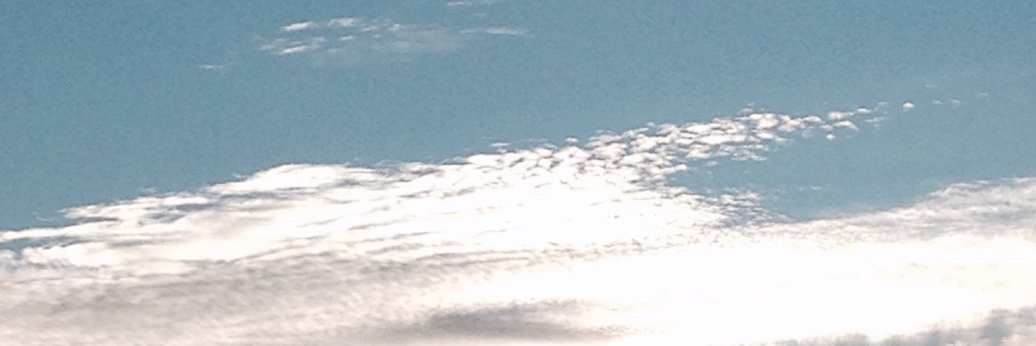 NibzFolwell's profile banner image