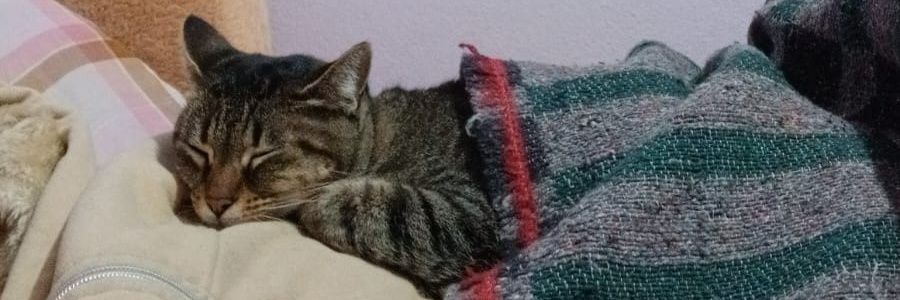brisaaa27's profile banner image