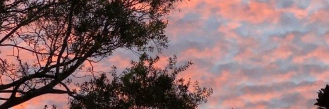 IngridLopez92's profile banner image