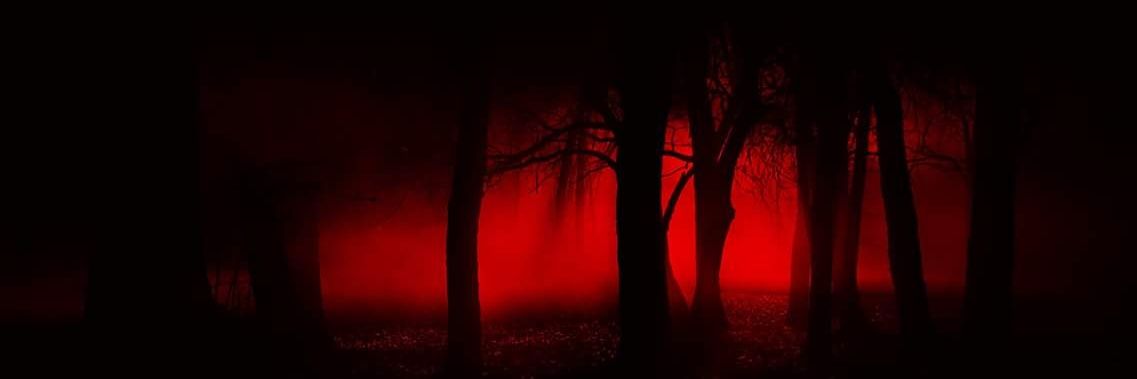 WildHunt_Movie's profile banner image