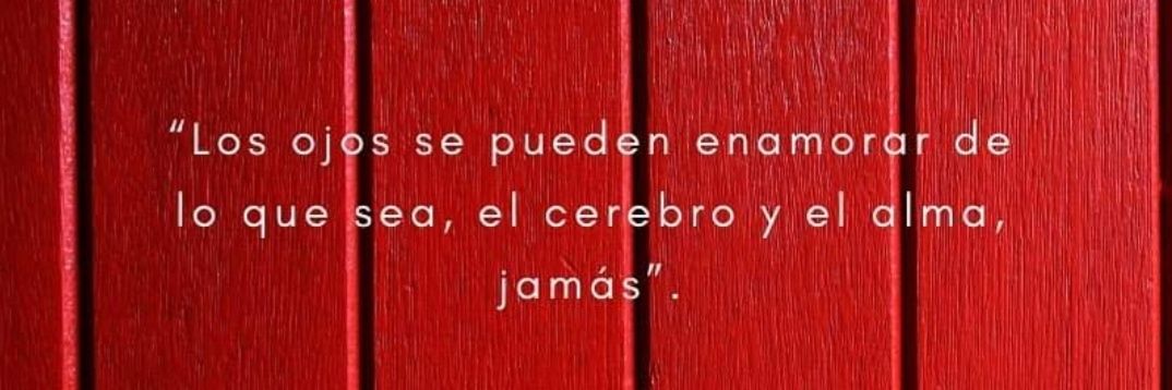 Vinceró banner