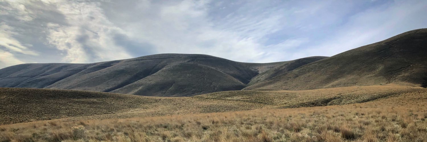 Genoa Blankenship banner