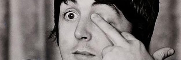 fanito banner