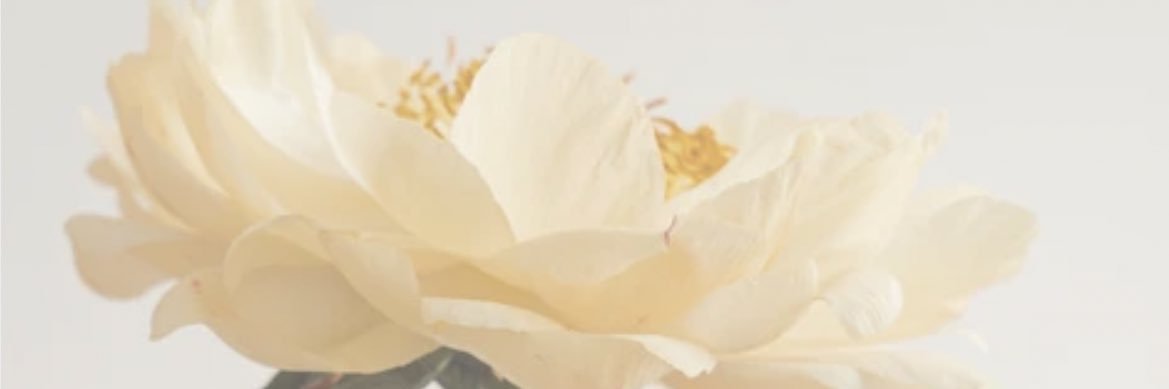 chachariho's profile banner image