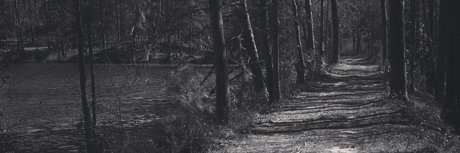 5O_Shadez's profile banner image