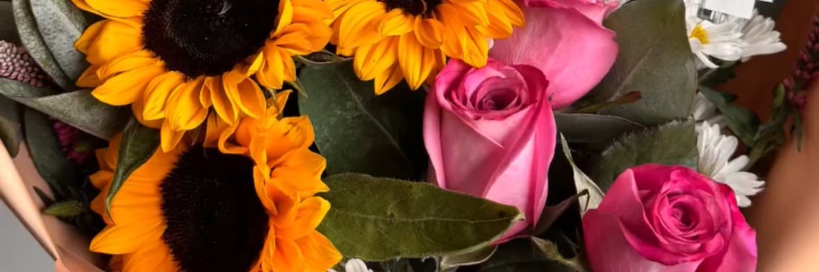 ValiaVera's profile banner image