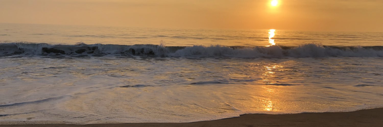 patdsil's profile banner image