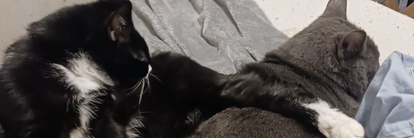 emitheegemini Profile Banner