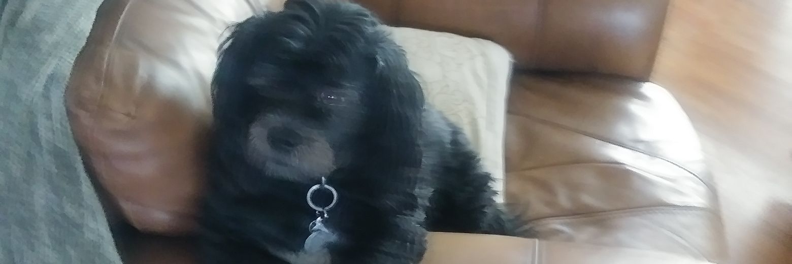 byron_keys's profile banner image